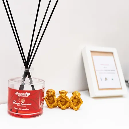 Gazde/Camere de închiriat Dimora Emilu